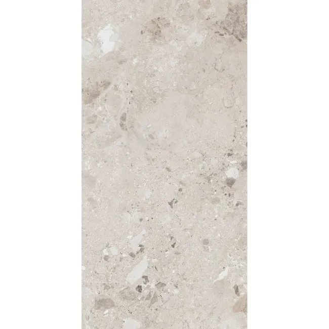 Ura Natural Terrazzo Effect Large Matt Porcelain Tile 120x60cm