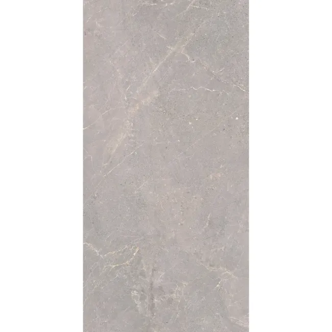 Alchemy Iron Grey Marble Effect Large Anti Slip Porcelain Tile 120x60cm